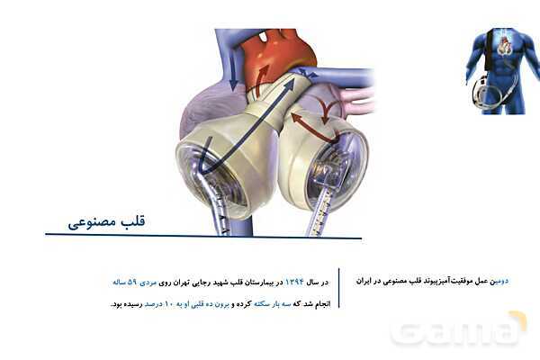 پاورپوینت تدریس گفتار 1 فصل 4 زیست دهم به روش نقشه ذهنی- پیش نمایش
