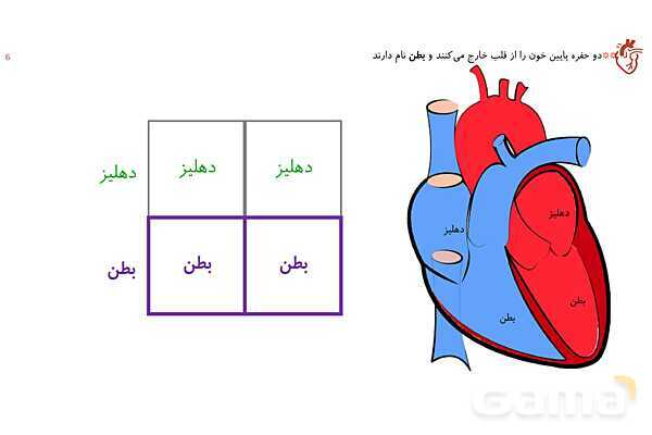 پاورپوینت تدریس گفتار 1 فصل 4 زیست دهم به روش نقشه ذهنی- پیش نمایش