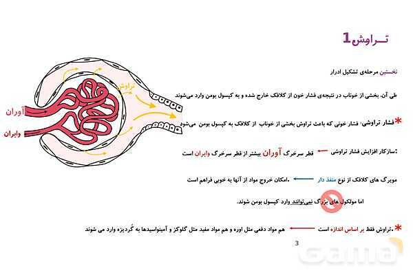 پاورپوینت تدریس گفتار 2 فصل 5 زیست دهم به روش نقشه ذهنی- پیش نمایش