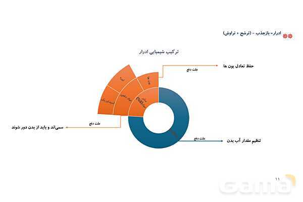 پاورپوینت تدریس گفتار 2 فصل 5 زیست دهم به روش نقشه ذهنی- پیش نمایش