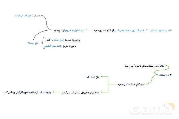پاورپوینت تدریس گفتار 3 فصل 5 زیست دهم به روش نقشه ذهنی- پیش نمایش