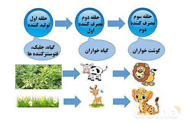 پاور علوم ششم درس 12: جنگل برای کیست؟- پیش نمایش