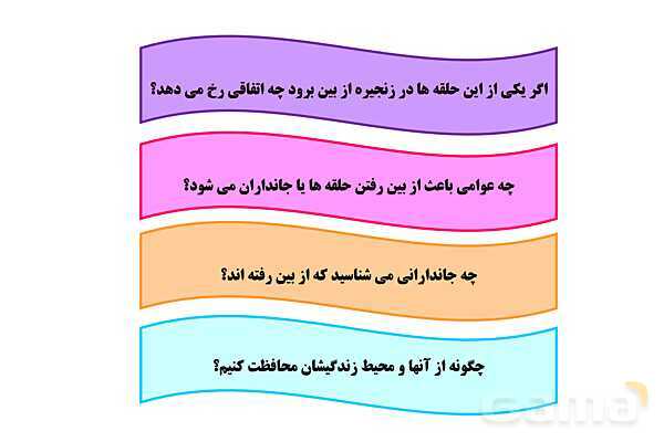 پاور علوم ششم درس 12: جنگل برای کیست؟- پیش نمایش