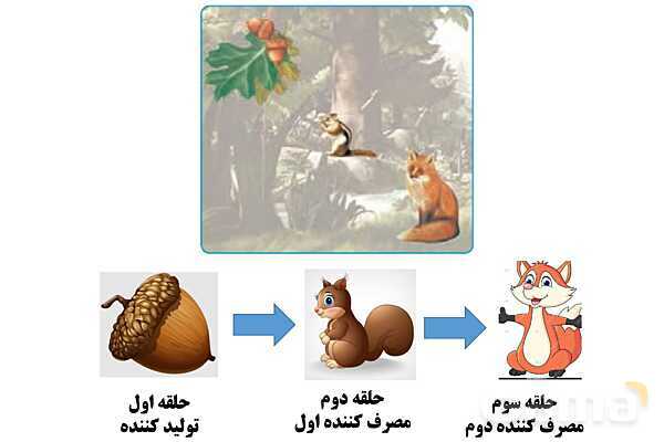 پاور علوم ششم درس 12: جنگل برای کیست؟- پیش نمایش