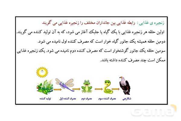 پاور علوم ششم درس 12: جنگل برای کیست؟- پیش نمایش