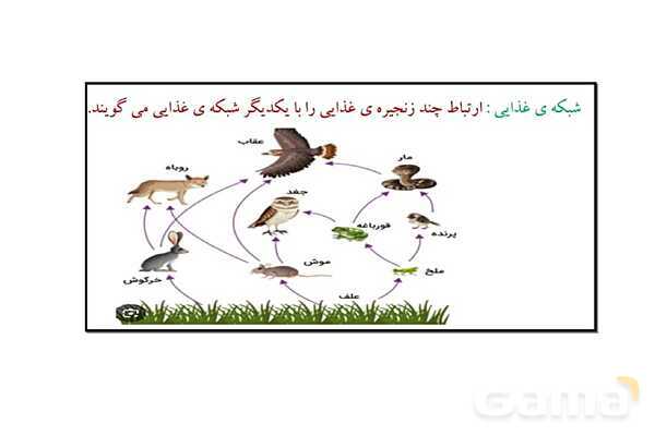 پاور علوم ششم درس 12: جنگل برای کیست؟- پیش نمایش