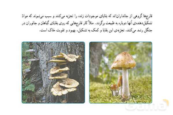 پاور علوم ششم درس 12: جنگل برای کیست؟- پیش نمایش