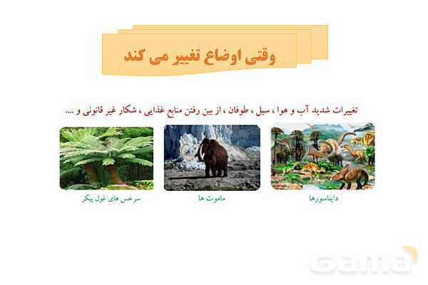 پاور علوم ششم درس 12: جنگل برای کیست؟- پیش نمایش