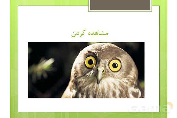 پاور مرور فصل 7 ریاضی پنجم | آمارواحتمال- پیش نمایش