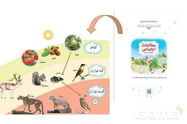 پاور تلفیقی درس 19 مطالعات چهارم و درس 13 علوم | از محیط زیست مراقبت کنیم- پیش نمایش