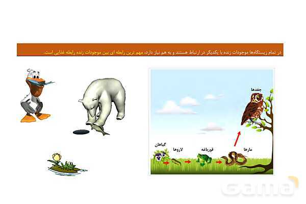 پاور تلفیقی درس 19 مطالعات چهارم و درس 13 علوم | از محیط زیست مراقبت کنیم- پیش نمایش
