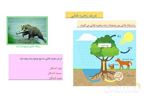 پاور تلفیقی درس 19 مطالعات چهارم و درس 13 علوم | از محیط زیست مراقبت کنیم- پیش نمایش