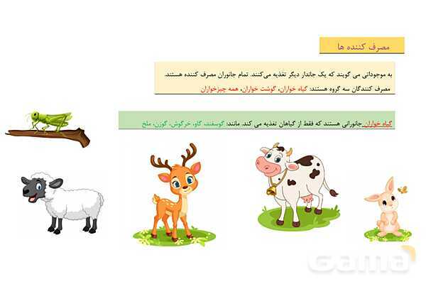 پاور تلفیقی درس 19 مطالعات چهارم و درس 13 علوم | از محیط زیست مراقبت کنیم- پیش نمایش