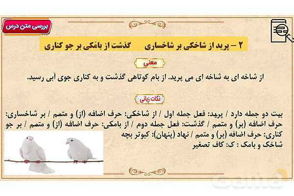 پاور آموزشی درس 7 فارسی هفتم | علم زندگانی- پیش نمایش