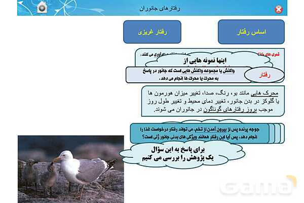 پاور تدریس زیست دوازدهم | فصل 8: رفتارهای جانوران (گفتار 1 تا 3)- پیش نمایش