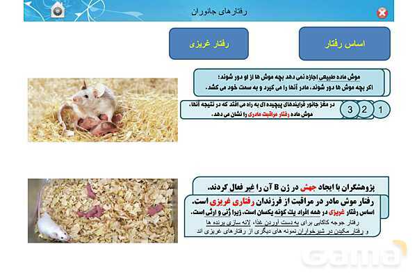 پاور تدریس زیست دوازدهم | فصل 8: رفتارهای جانوران (گفتار 1 تا 3)- پیش نمایش