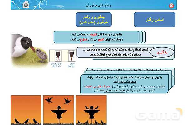 پاور تدریس زیست دوازدهم | فصل 8: رفتارهای جانوران (گفتار 1 تا 3)- پیش نمایش