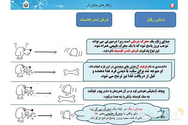 پاور تدریس زیست دوازدهم | فصل 8: رفتارهای جانوران (گفتار 1 تا 3)- پیش نمایش