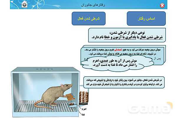 پاور تدریس زیست دوازدهم | فصل 8: رفتارهای جانوران (گفتار 1 تا 3)- پیش نمایش