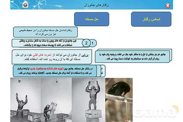 پاور تدریس زیست دوازدهم | فصل 8: رفتارهای جانوران (گفتار 1 تا 3)- پیش نمایش