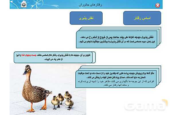 پاور تدریس زیست دوازدهم | فصل 8: رفتارهای جانوران (گفتار 1 تا 3)- پیش نمایش