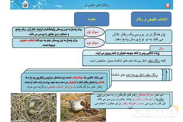 پاور تدریس زیست دوازدهم | فصل 8: رفتارهای جانوران (گفتار 1 تا 3)- پیش نمایش