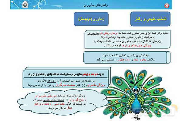 پاور تدریس زیست دوازدهم | فصل 8: رفتارهای جانوران (گفتار 1 تا 3)- پیش نمایش