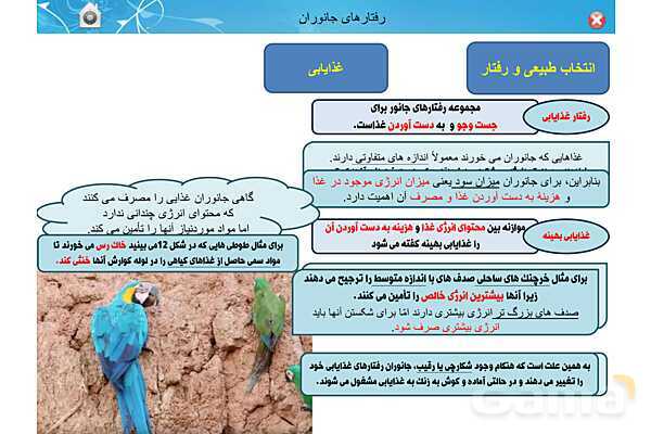پاور تدریس زیست دوازدهم | فصل 8: رفتارهای جانوران (گفتار 1 تا 3)- پیش نمایش