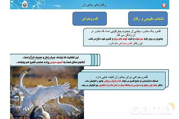 پاور تدریس زیست دوازدهم | فصل 8: رفتارهای جانوران (گفتار 1 تا 3)- پیش نمایش