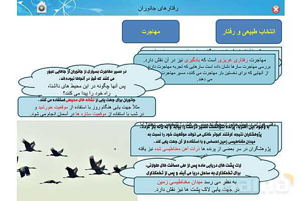 پاور تدریس زیست دوازدهم | فصل 8: رفتارهای جانوران (گفتار 1 تا 3)- پیش نمایش