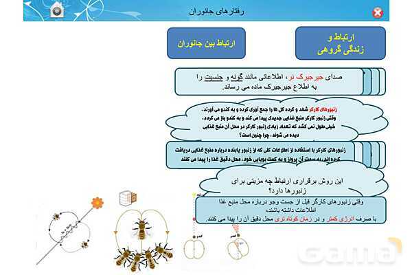 پاور تدریس زیست دوازدهم | فصل 8: رفتارهای جانوران (گفتار 1 تا 3)- پیش نمایش