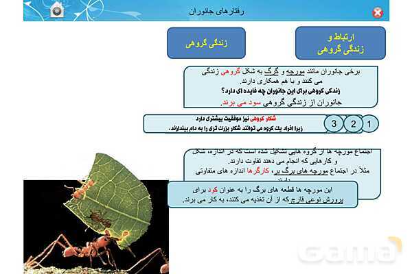 پاور تدریس زیست دوازدهم | فصل 8: رفتارهای جانوران (گفتار 1 تا 3)- پیش نمایش