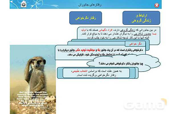 پاور تدریس زیست دوازدهم | فصل 8: رفتارهای جانوران (گفتار 1 تا 3)- پیش نمایش