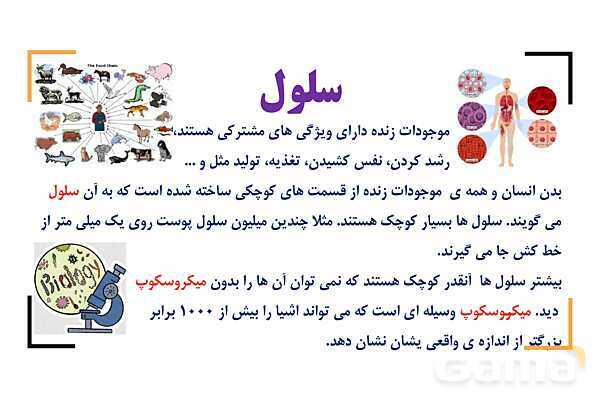 پاور درس 9 علوم چهارم | بدن ما- پیش نمایش