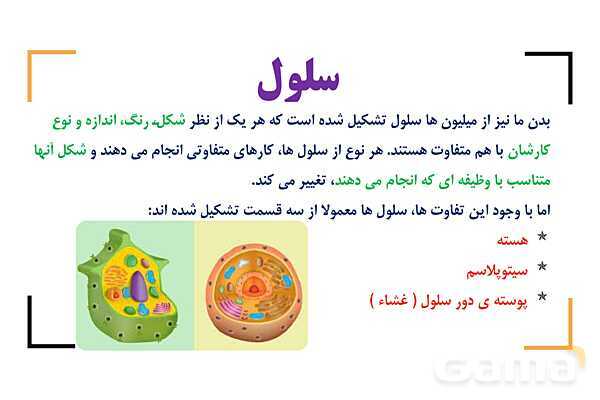 پاور درس 9 علوم چهارم | بدن ما- پیش نمایش