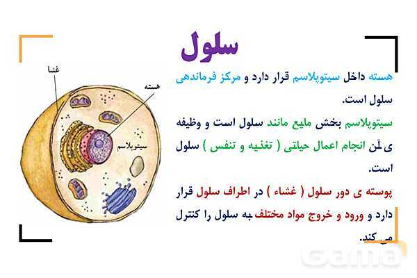 پاور درس 9 علوم چهارم | بدن ما- پیش نمایش
