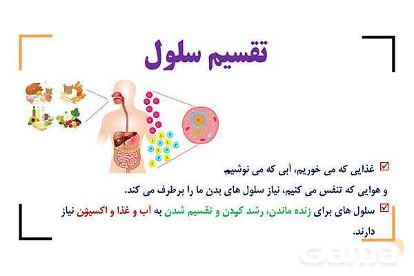 پاور درس 9 علوم چهارم | بدن ما- پیش نمایش