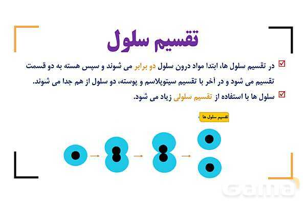پاور درس 9 علوم چهارم | بدن ما- پیش نمایش