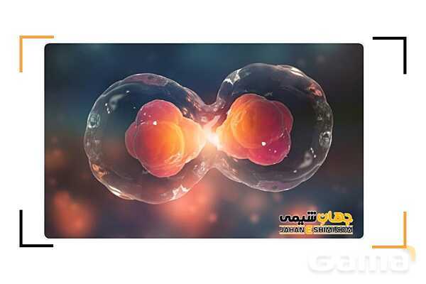 پاور درس 9 علوم چهارم | بدن ما- پیش نمایش