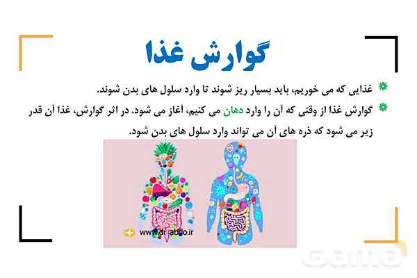 پاور درس 9 علوم چهارم | بدن ما- پیش نمایش