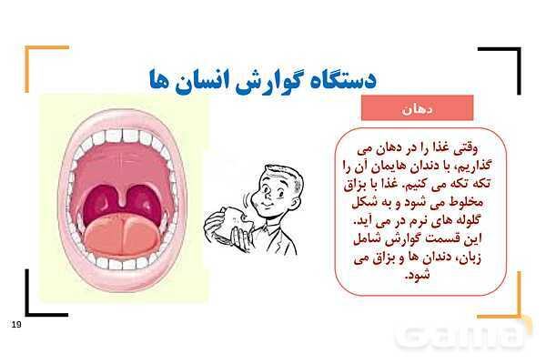پاور درس 9 علوم چهارم | بدن ما- پیش نمایش