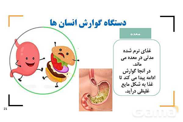 پاور درس 9 علوم چهارم | بدن ما- پیش نمایش