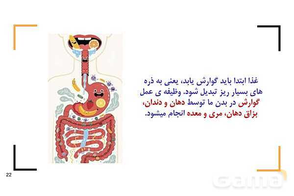 پاور درس 9 علوم چهارم | بدن ما- پیش نمایش