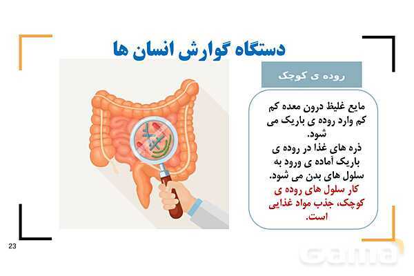 پاور درس 9 علوم چهارم | بدن ما- پیش نمایش