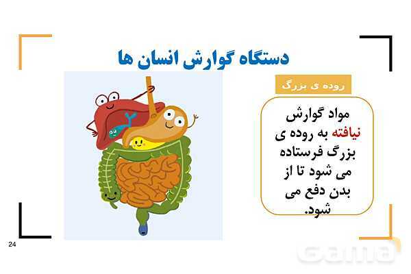 پاور درس 9 علوم چهارم | بدن ما- پیش نمایش
