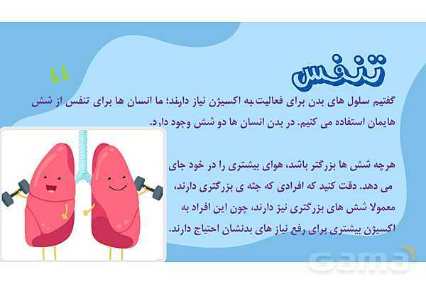 پاور درس 10 علوم چهارم | بدن ما- پیش نمایش