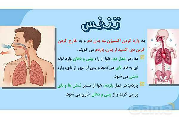 پاور درس 10 علوم چهارم | بدن ما- پیش نمایش