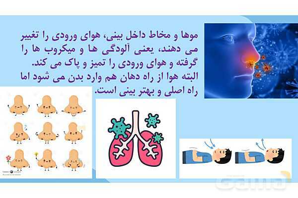 پاور درس 10 علوم چهارم | بدن ما- پیش نمایش