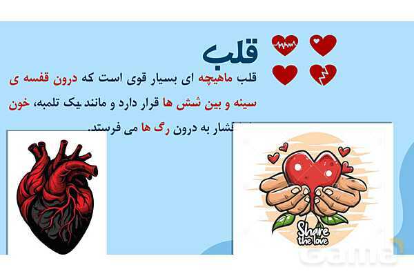 پاور درس 10 علوم چهارم | بدن ما- پیش نمایش