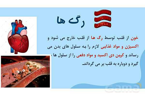 پاور درس 10 علوم چهارم | بدن ما- پیش نمایش